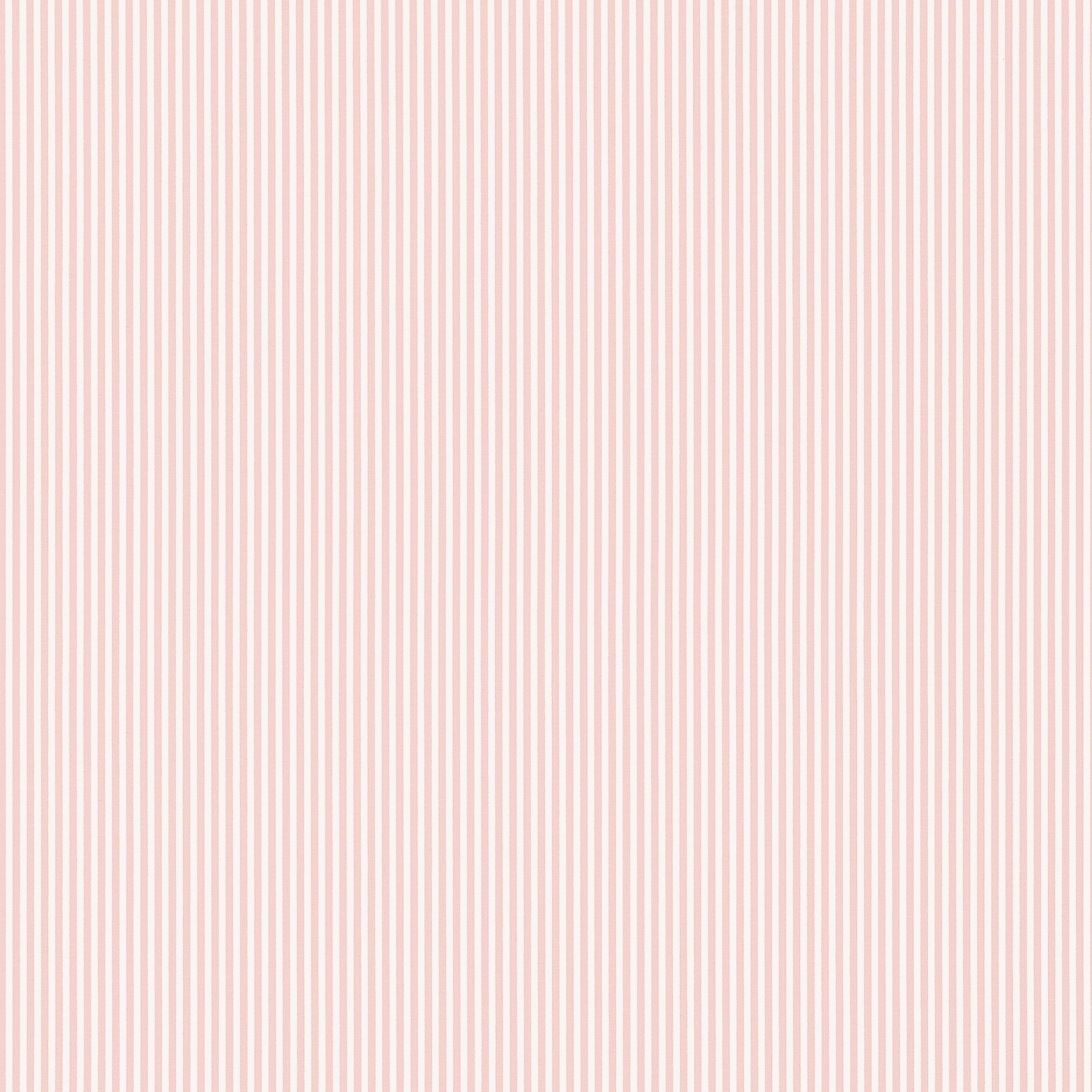 HOLDEN STRIPE - Blush