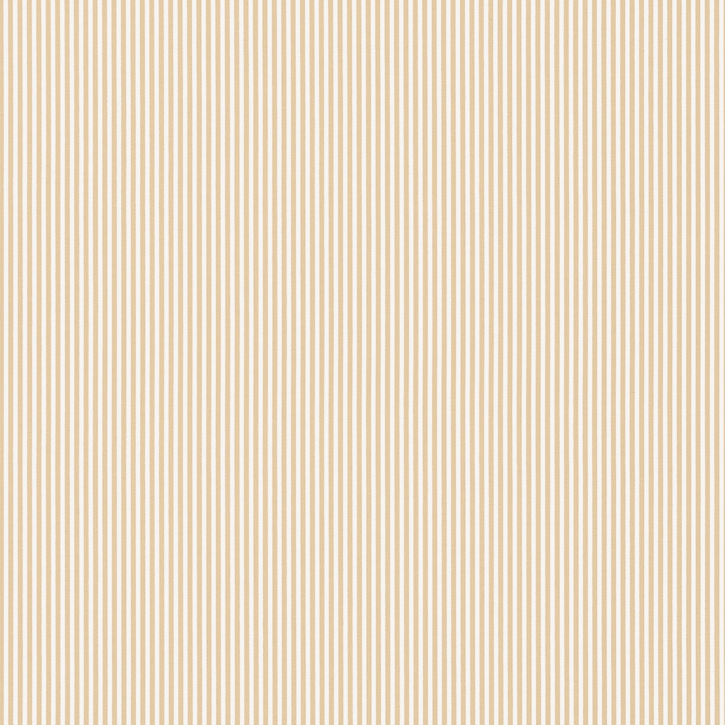 HOLDEN STRIPE - Soft Gold