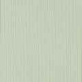 HOLDEN STRIPE - Green