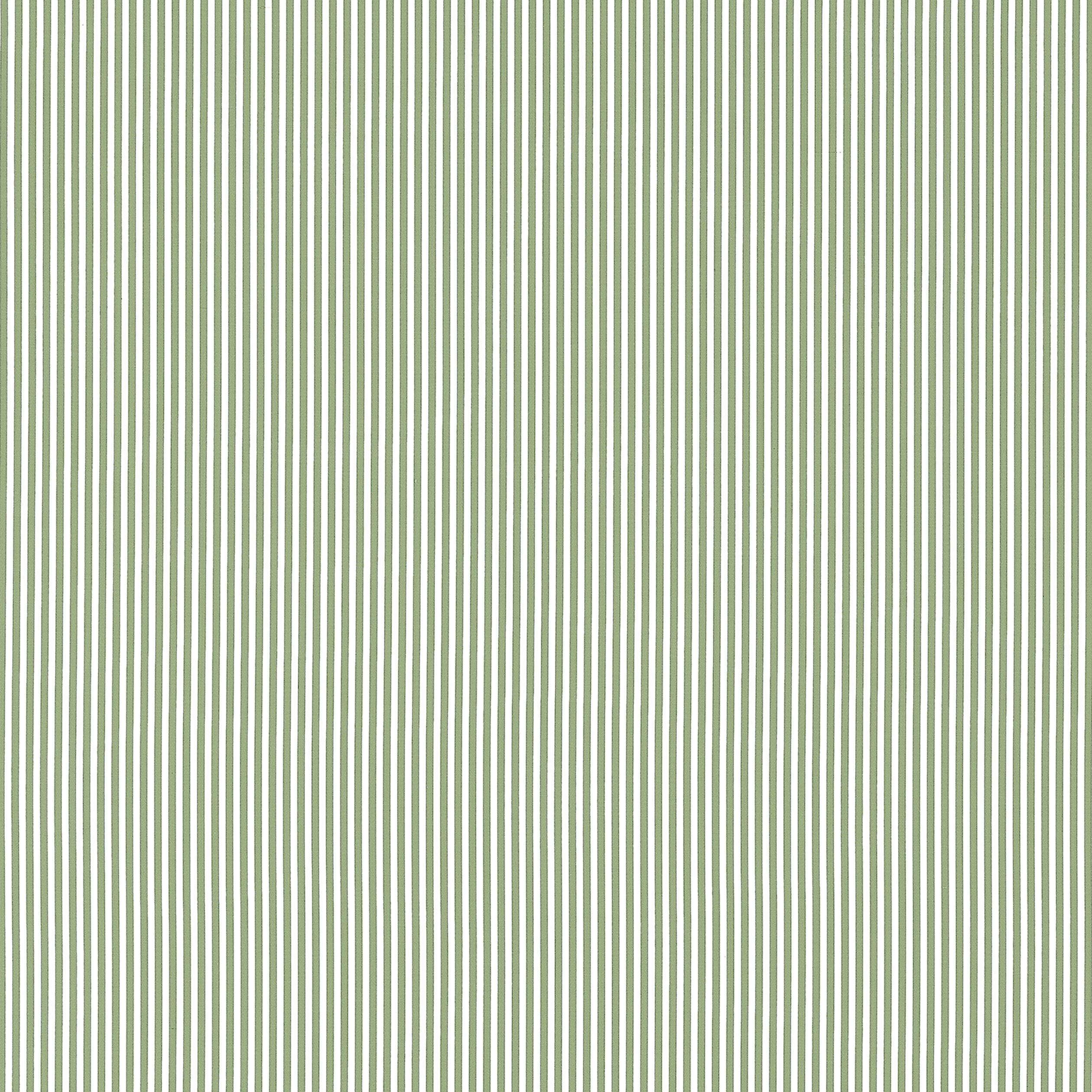 HOLDEN STRIPE - Green