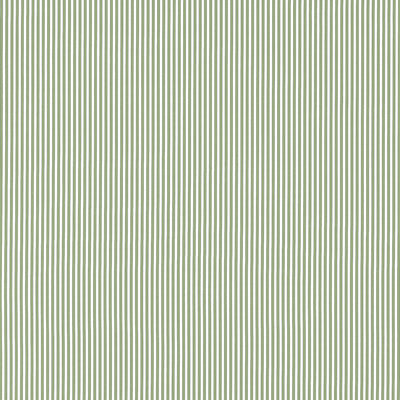 HOLDEN STRIPE - Green