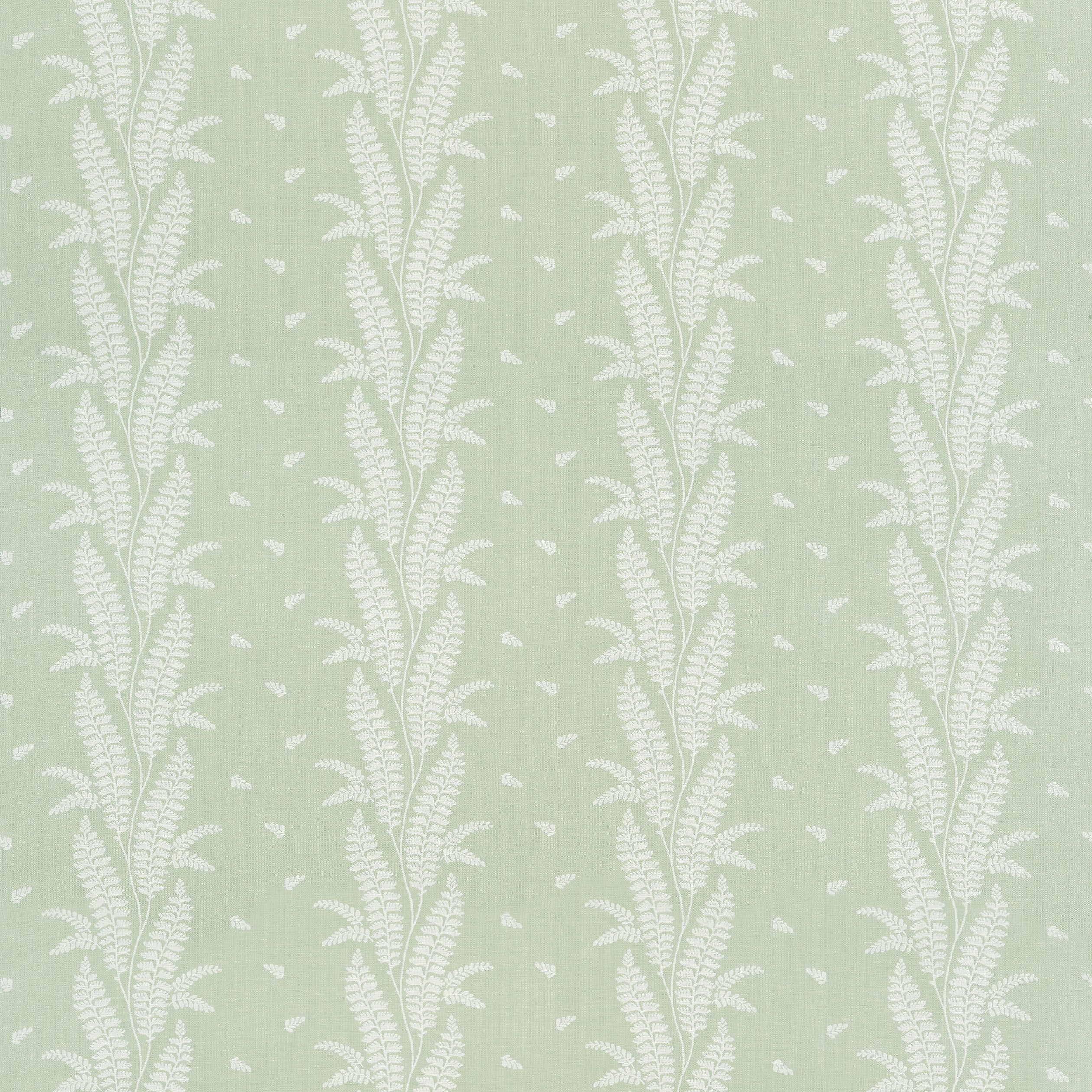 ENSBURY FERN - Green