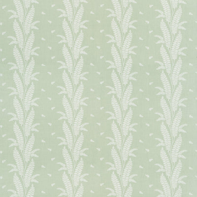 ENSBURY FERN - Green