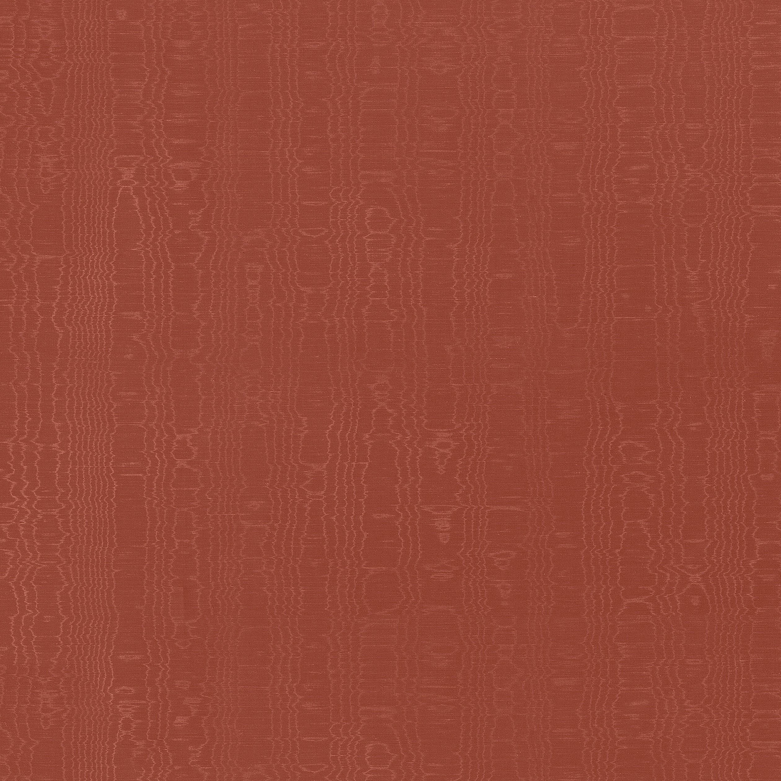 REGIA - Paprika