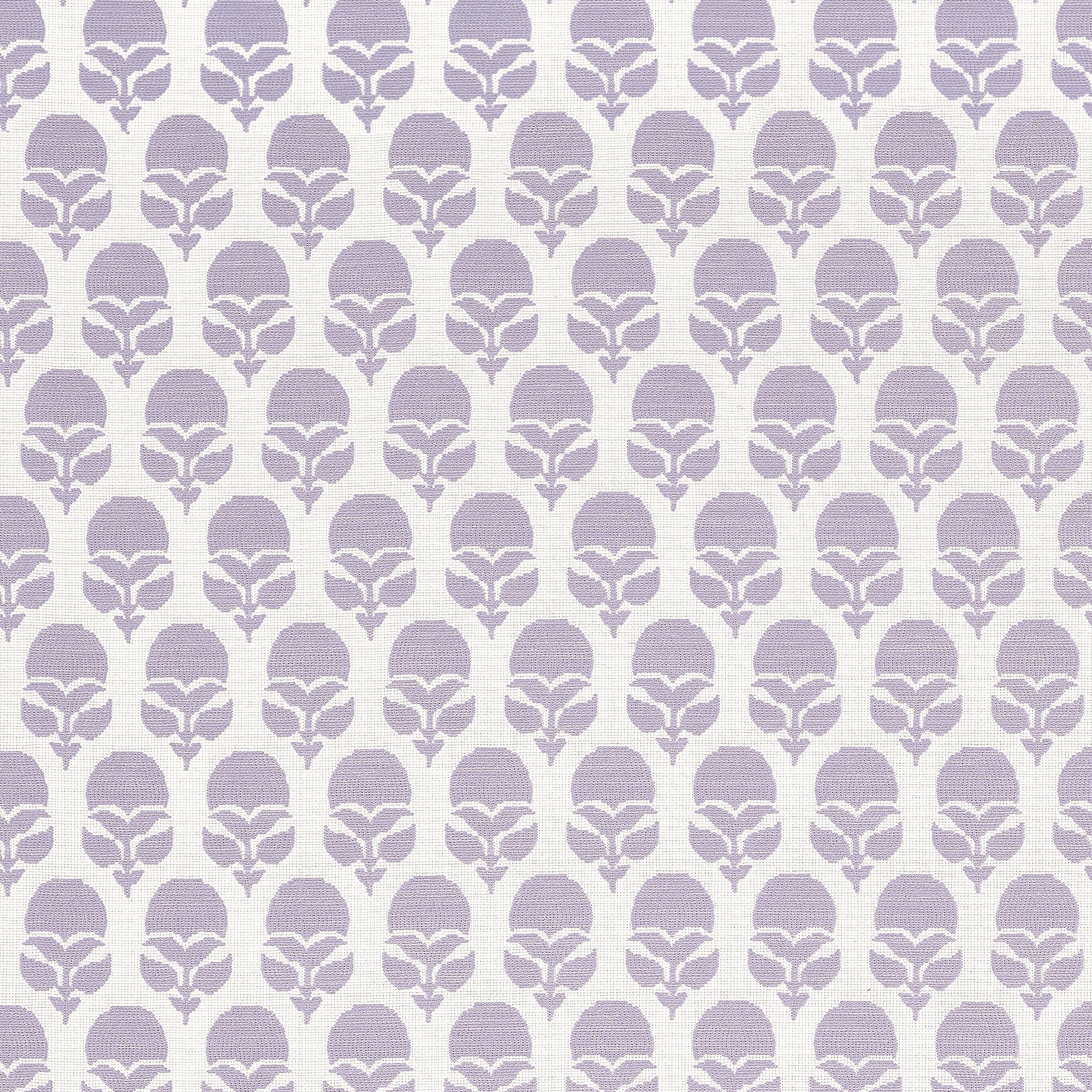 MARGUERITE - Lilac
