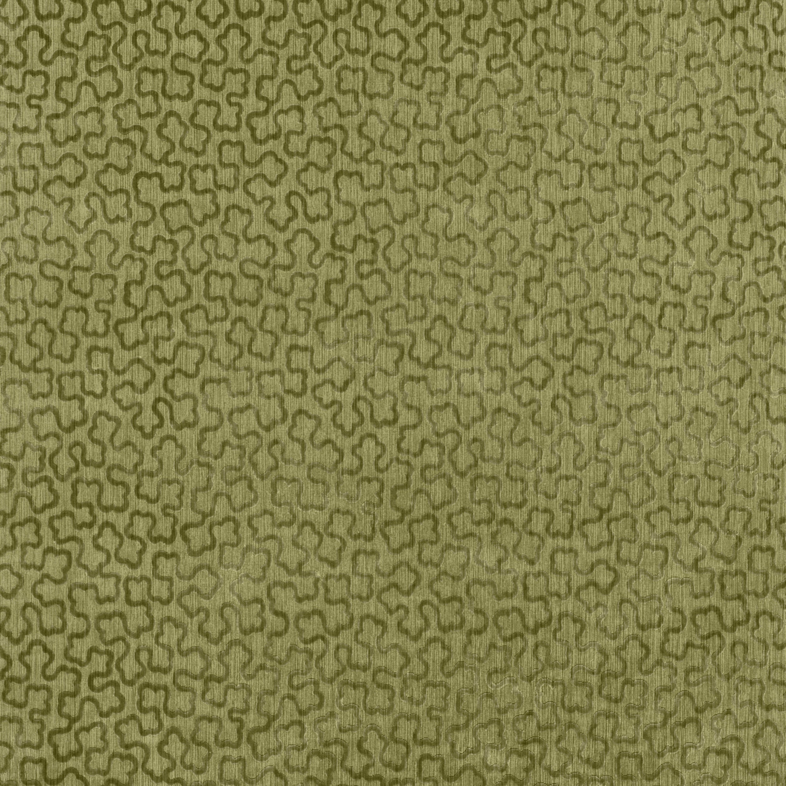 TREFOLIA VELVET - Ivy