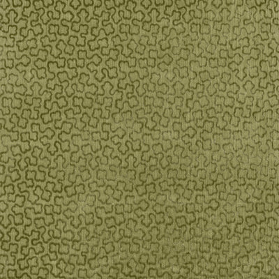 TREFOLIA VELVET - Ivy