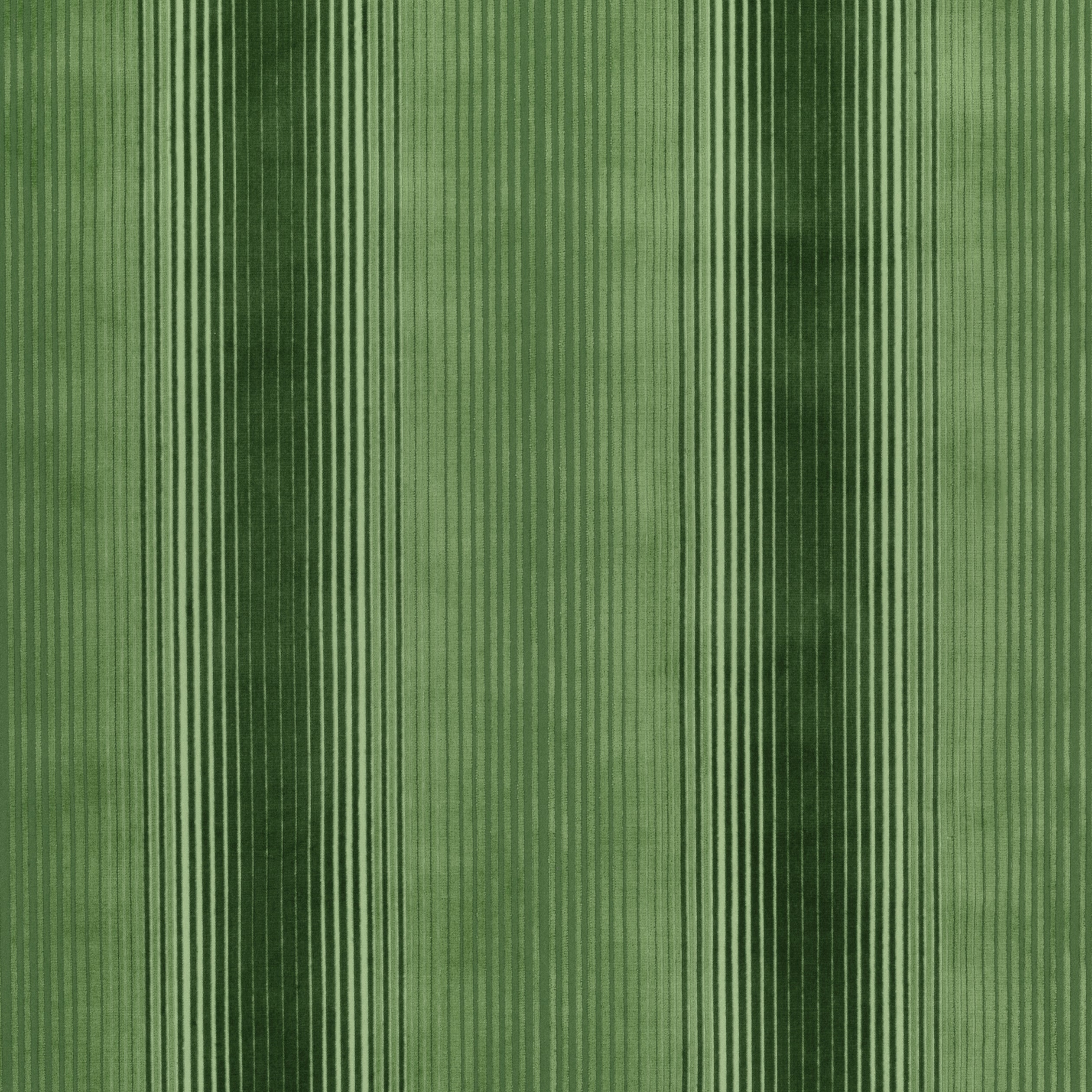 OMBRE VELVET - Green