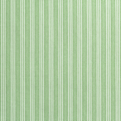 REED STRIPE - Green