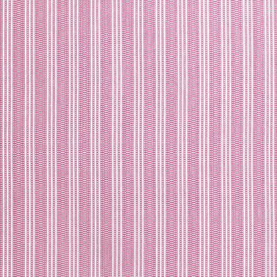 REED STRIPE - Fuchsia