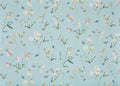 Les pois de senteur Ciel - Jardins Secrets