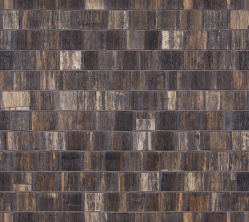 Borneo - BOA206