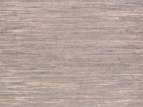 Borneo - BOA317