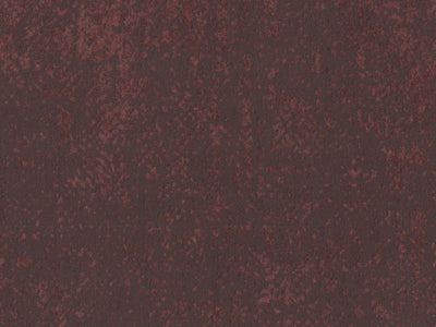 Borneo - BOA309