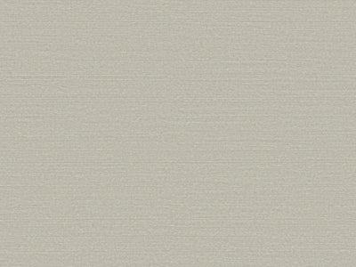 Birds Of Paradise - BOP310