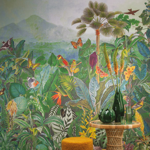 Birds Of Paradise - BOP701