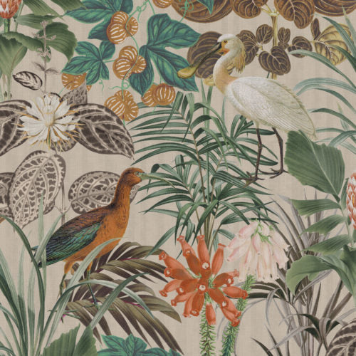 Birds Of Paradise - BOP502