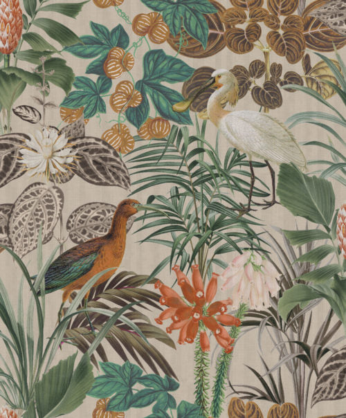 Birds Of Paradise - BOP502