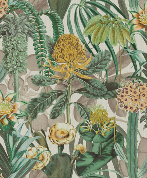 Birds Of Paradise - BOP301