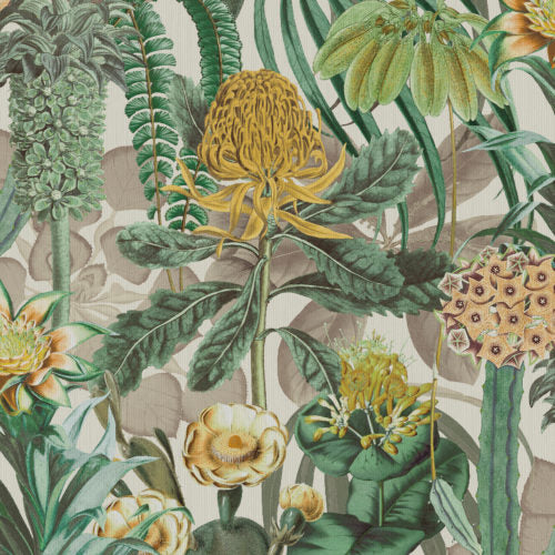Birds Of Paradise - BOP601
