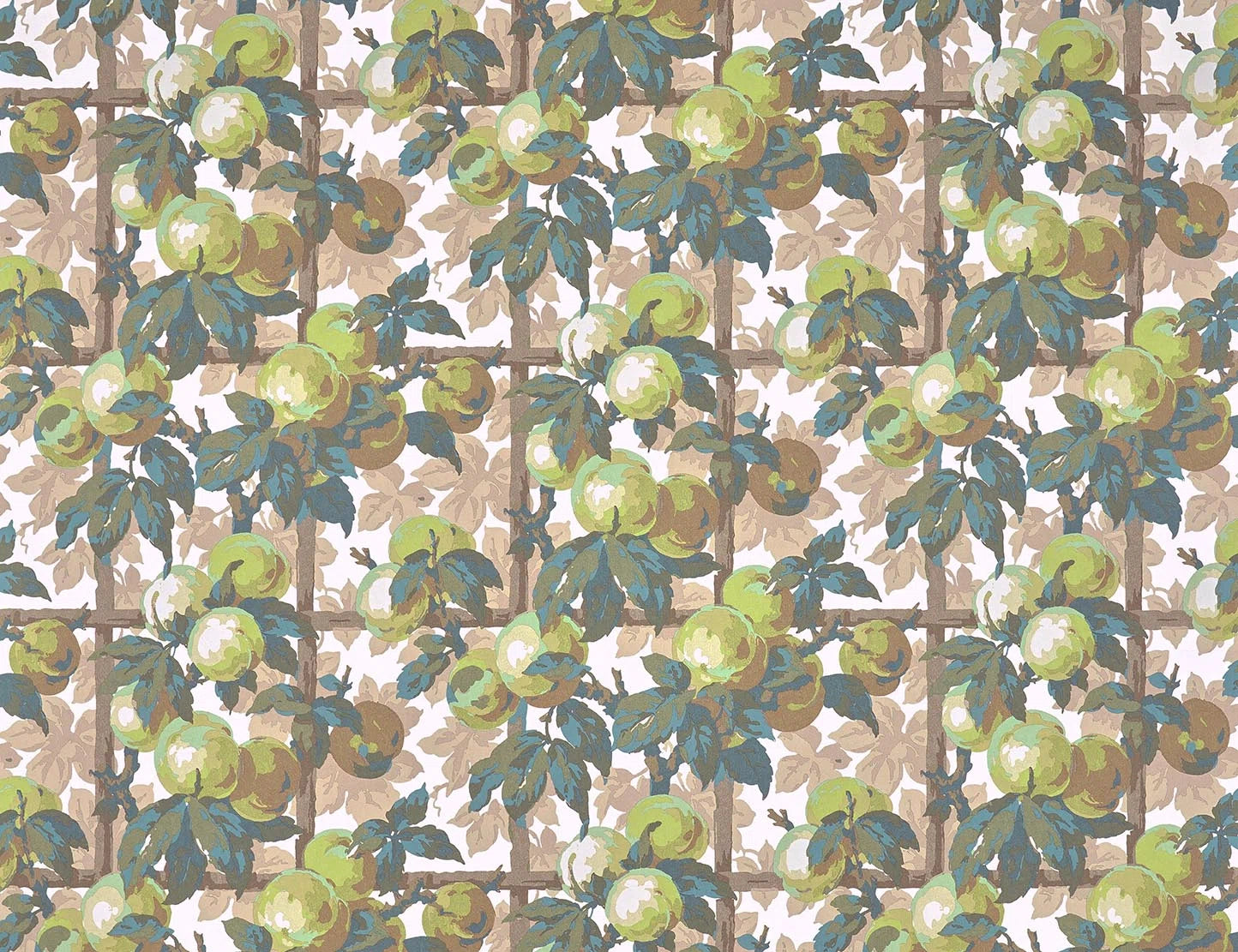 Hedera Lichen - Jardins Secrets