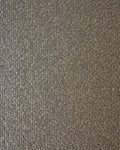 COR003 (Coral)