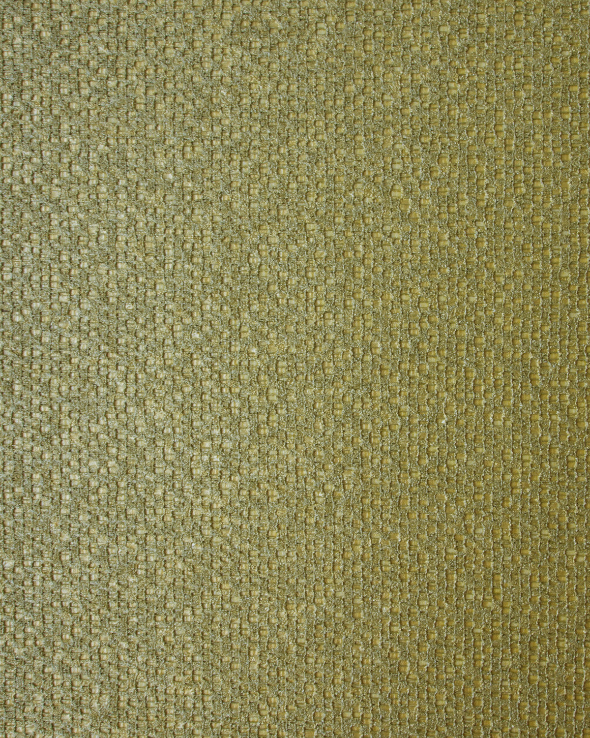 COR007 (Coral)