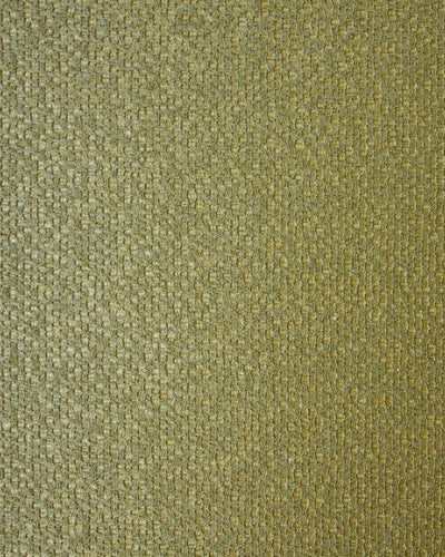 COR007 (Coral)