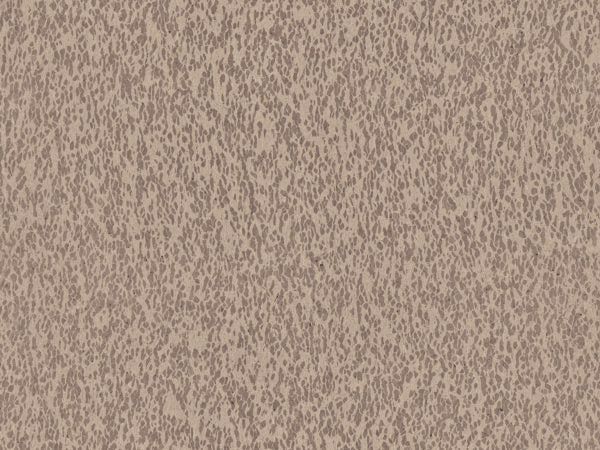 Casca - CAS31