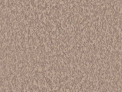 Casca - CAS31