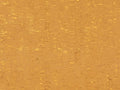 Casca - CAS86