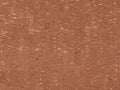 Casca - CAS87