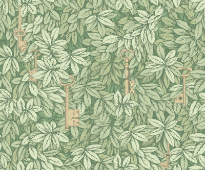 Chiavi Segrete Olive