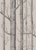 Woods Icons Linen & Charcoal