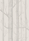 Woods Icons Parchment