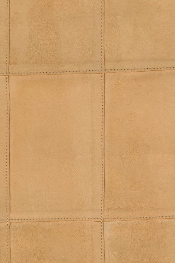 Avenio Camel - Corium