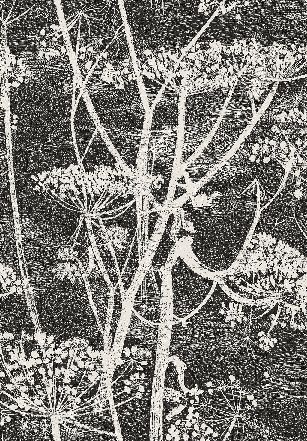 Cow Parsley Soot & Snow