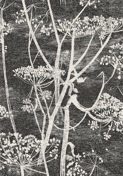 Cow Parsley Soot & Snow