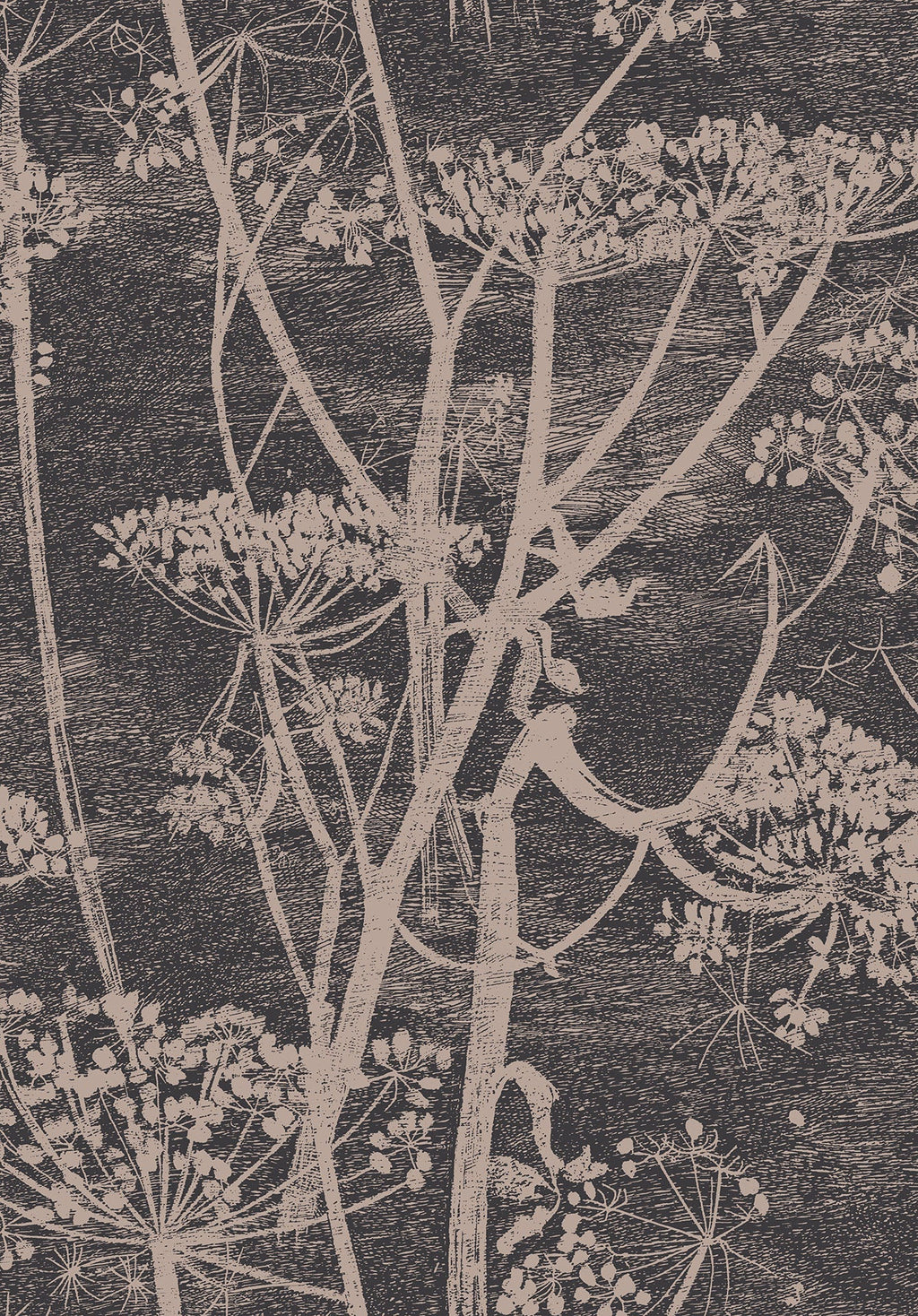 Cow Parsley Linen & Charcoal