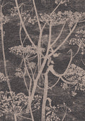 Cow Parsley Linen & Charcoal