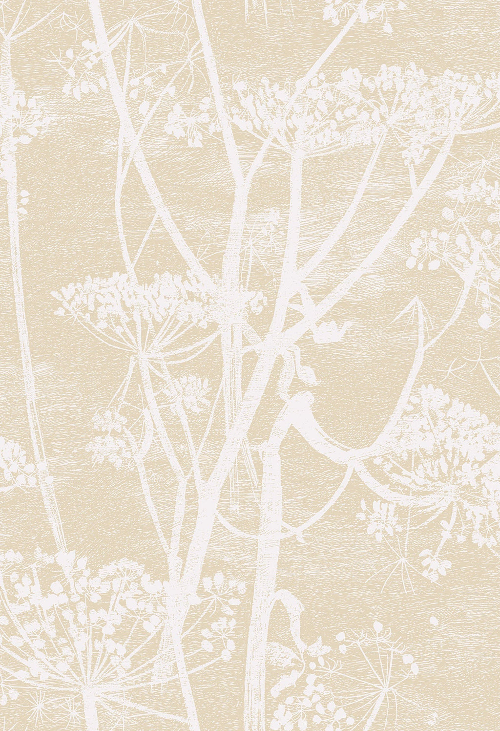 Cow Parsley Cream & Oat