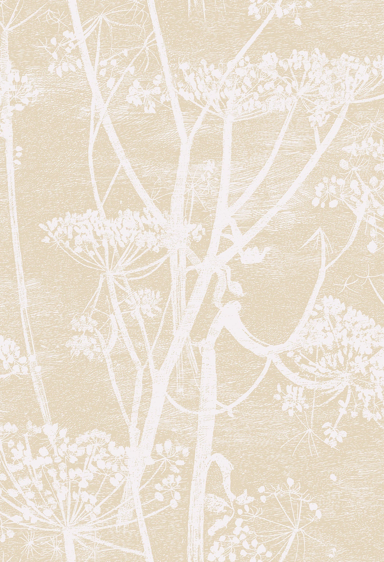 Cow Parsley Cream & Oat