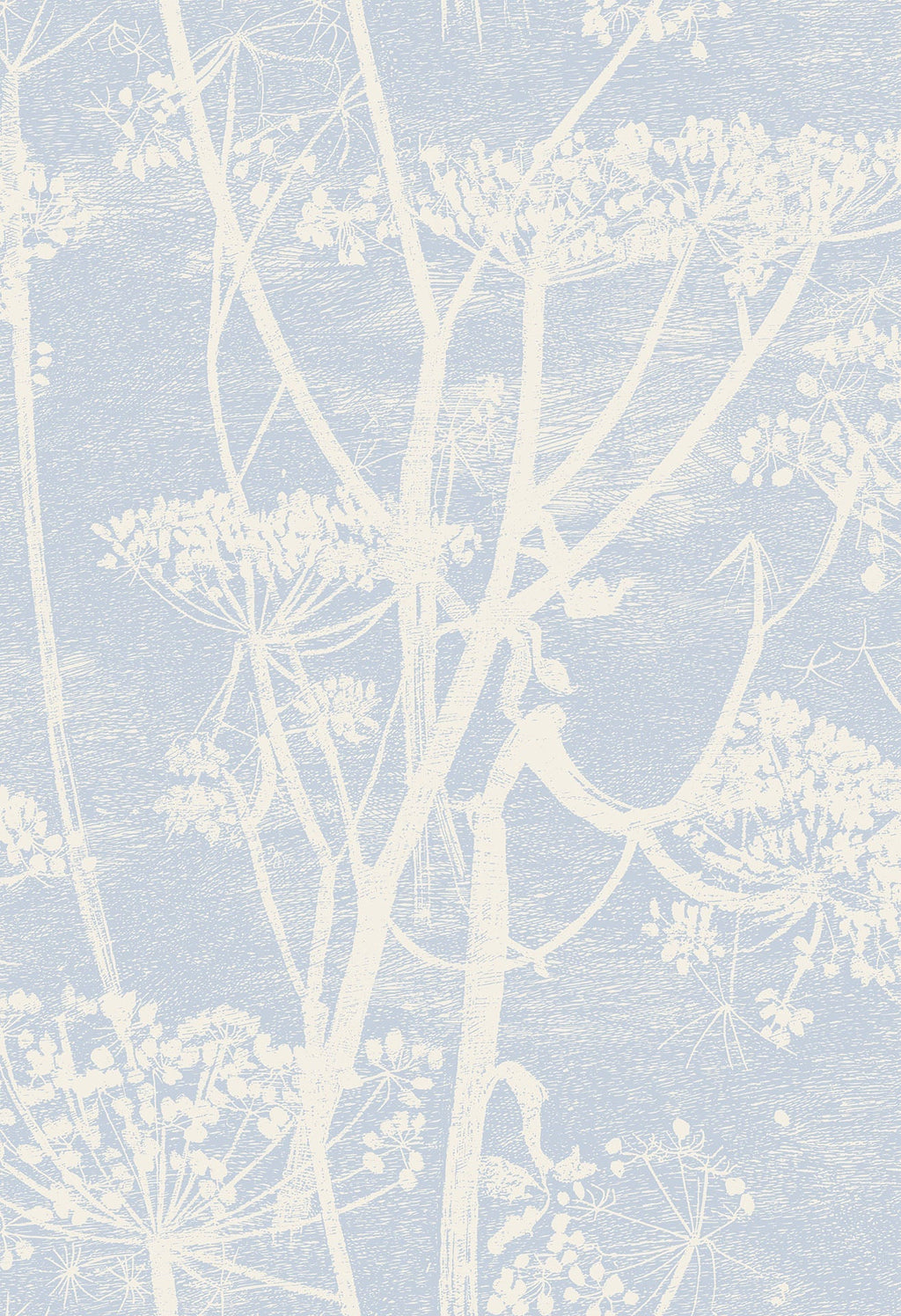 Cow Parsley Buttercup & Powder Blue
