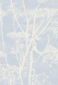 Cow Parsley Buttercup & Powder Blue