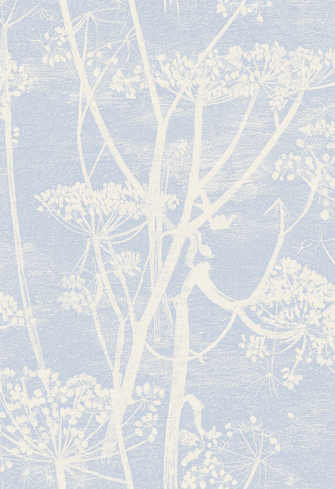 Cow Parsley Buttercup & Powder Blue