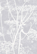 Cow Parsley White & Heath Grey