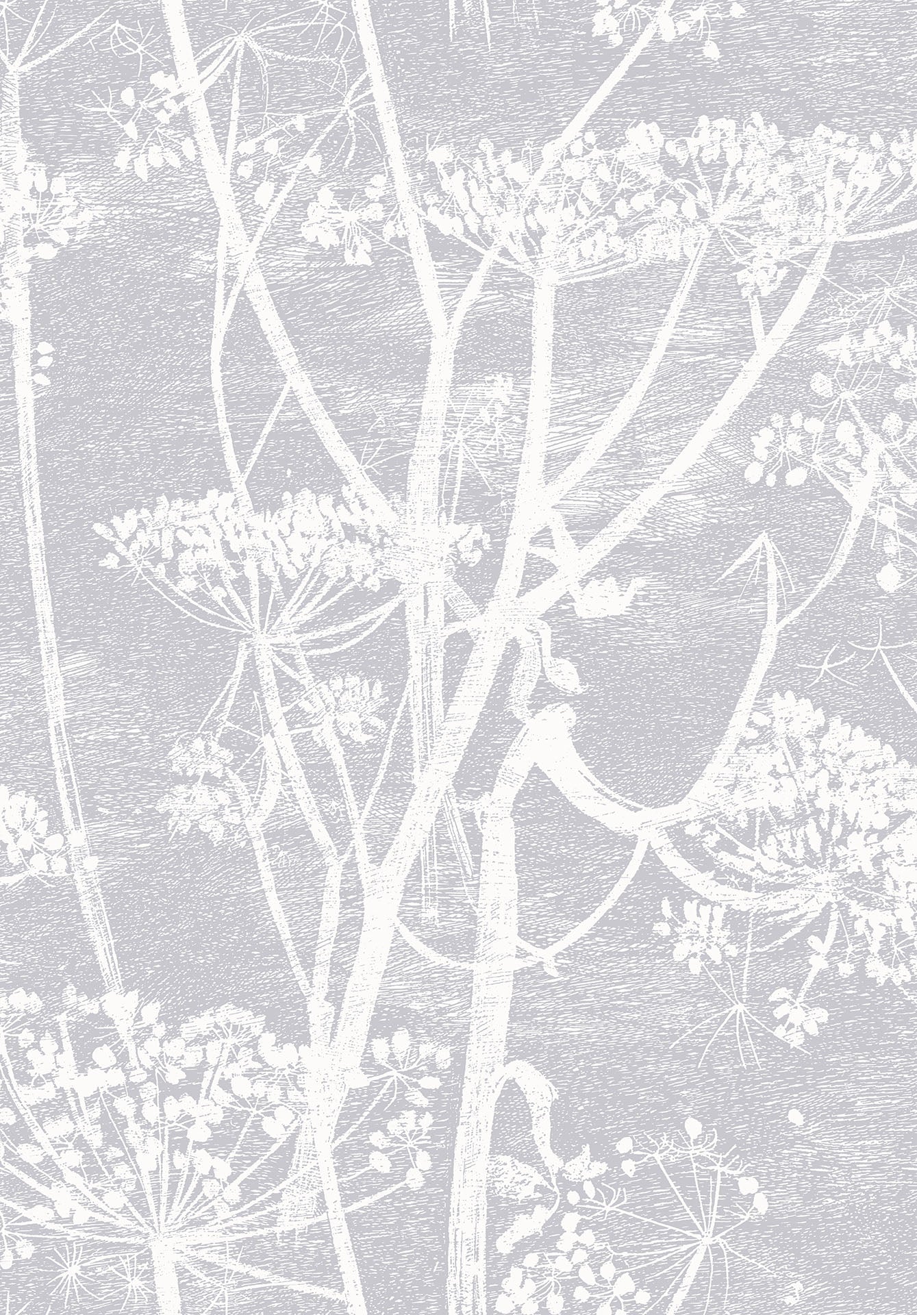 Cow Parsley White & Heath Grey