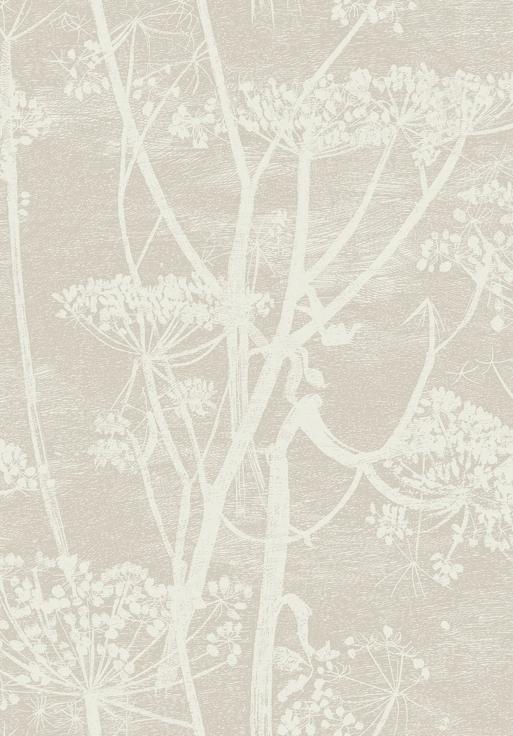 Cow Parsley Stone & White
