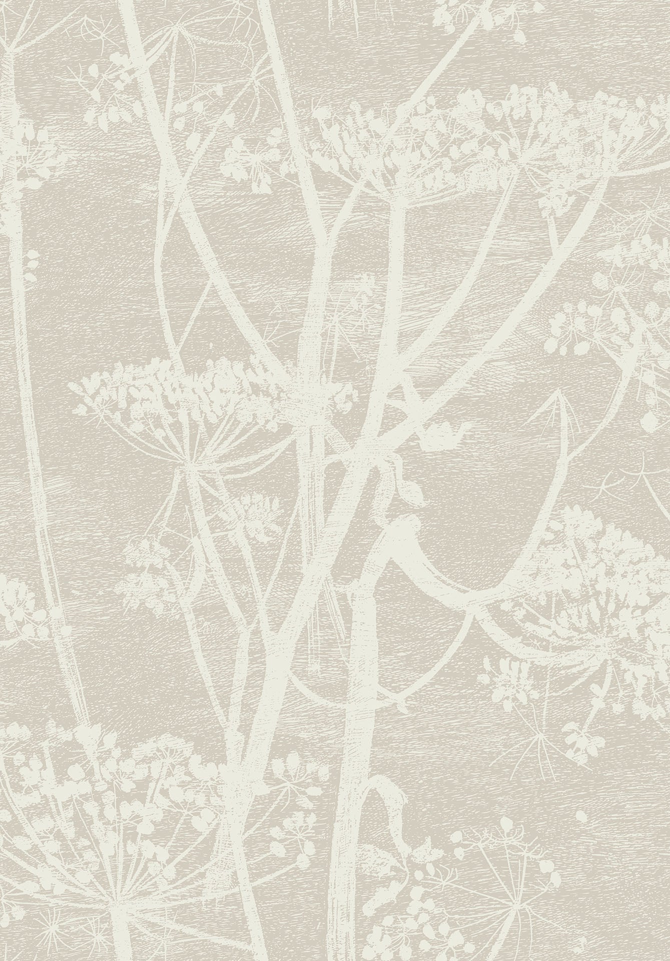 Cow Parsley Stone & White