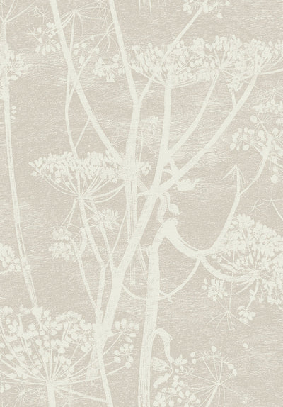 Cow Parsley Stone & White